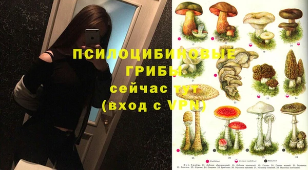 ПСИЛОЦИБИНОВЫЕ ГРИБЫ Белоозёрский