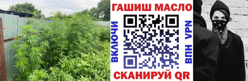 ОМГ ОМГ   Пестово  ТГК концентрат 